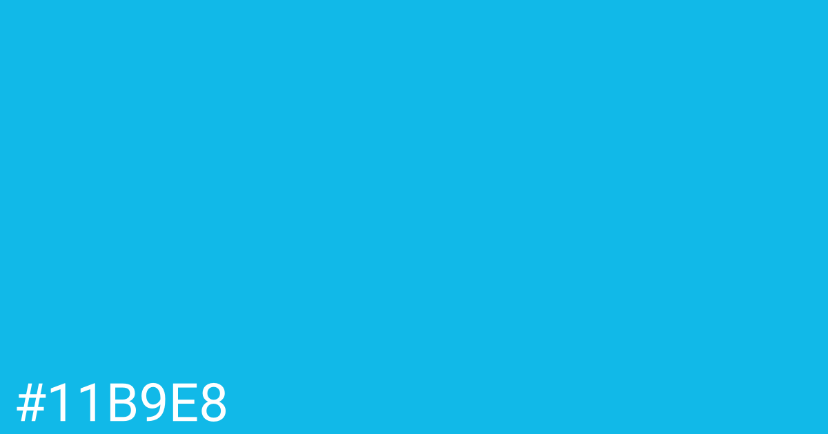 Hex color #11b9e8 graphic
