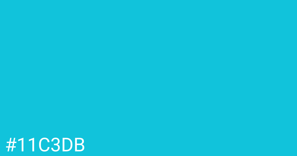 Hex color #11c3db graphic