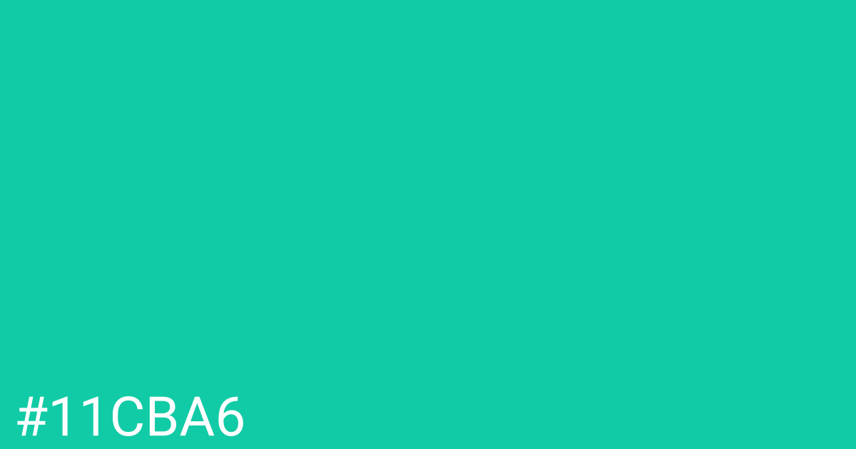 Hex color #11cba6 graphic