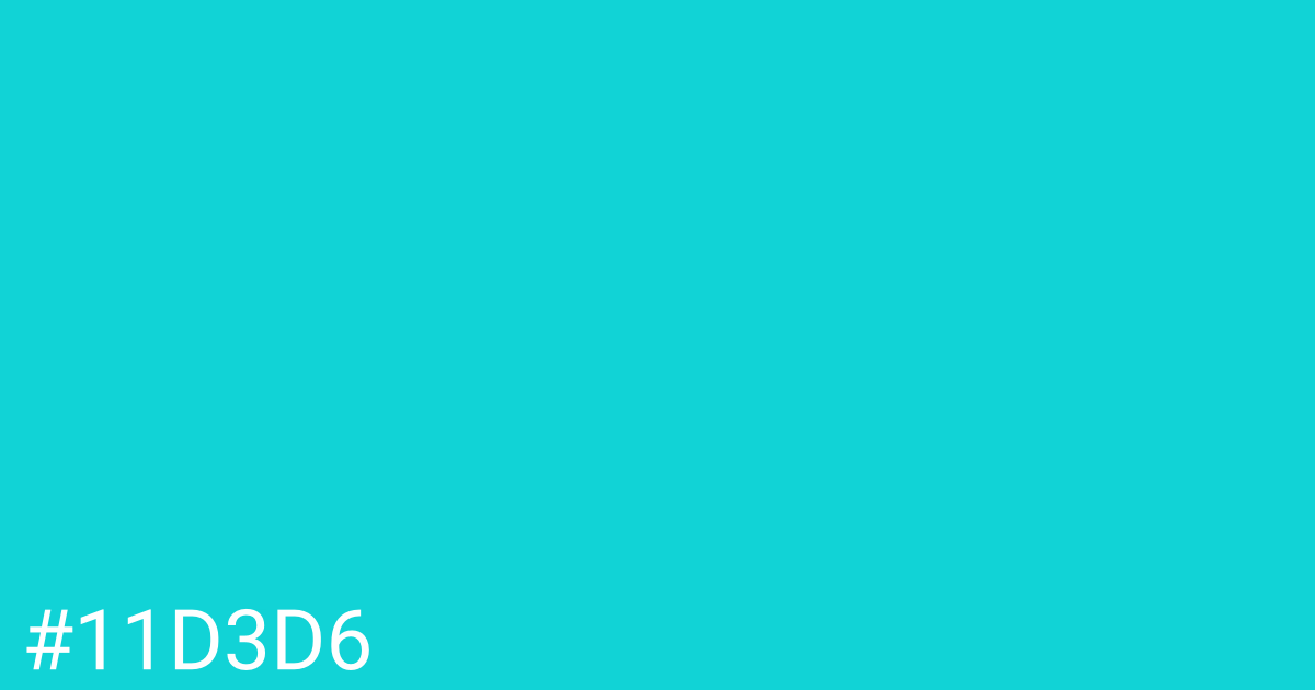 Hex color #11d3d6 graphic