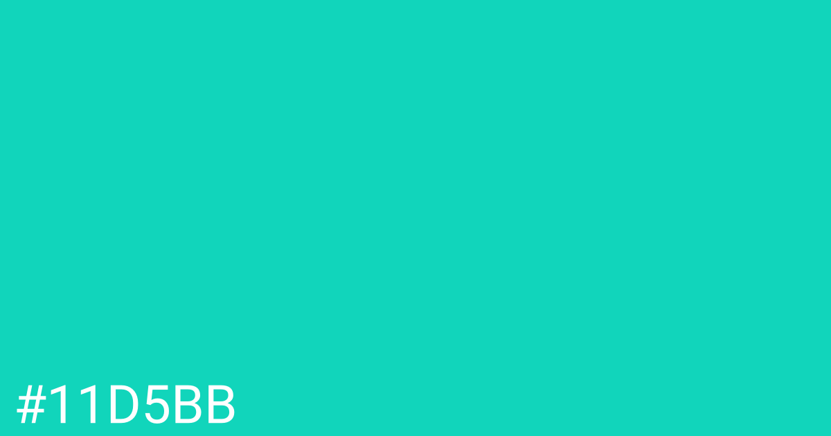 Hex color #11d5bb graphic