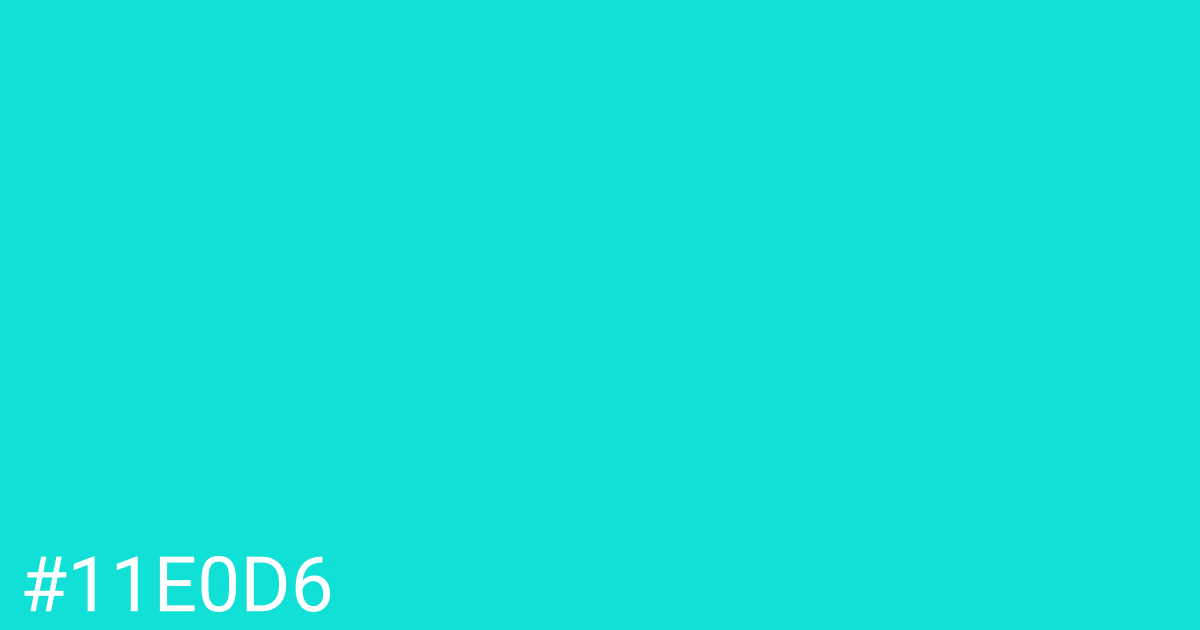 Hex color #11e0d6 graphic