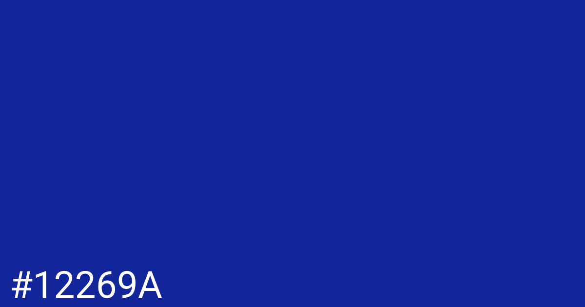 Hex color #12269a graphic