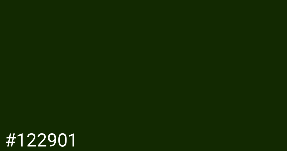Hex color #122901 graphic
