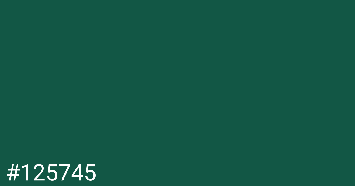 Hex color #125745 graphic