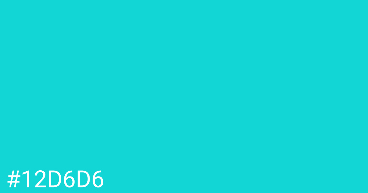 Hex color #12d6d6 graphic