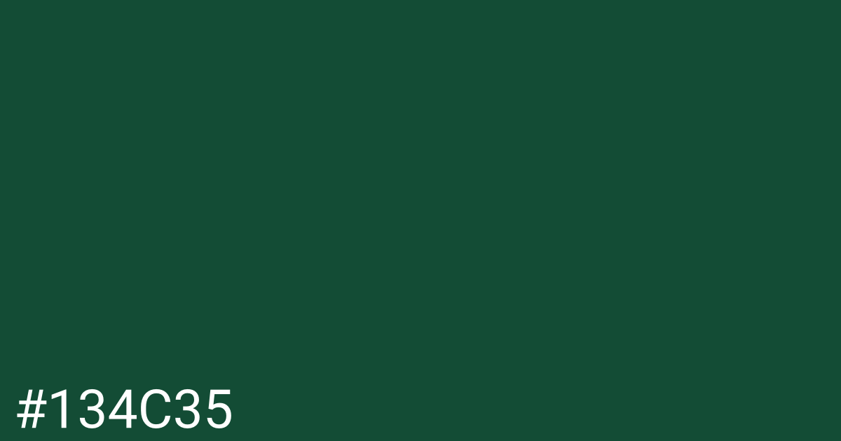 Hex color #134c35 graphic