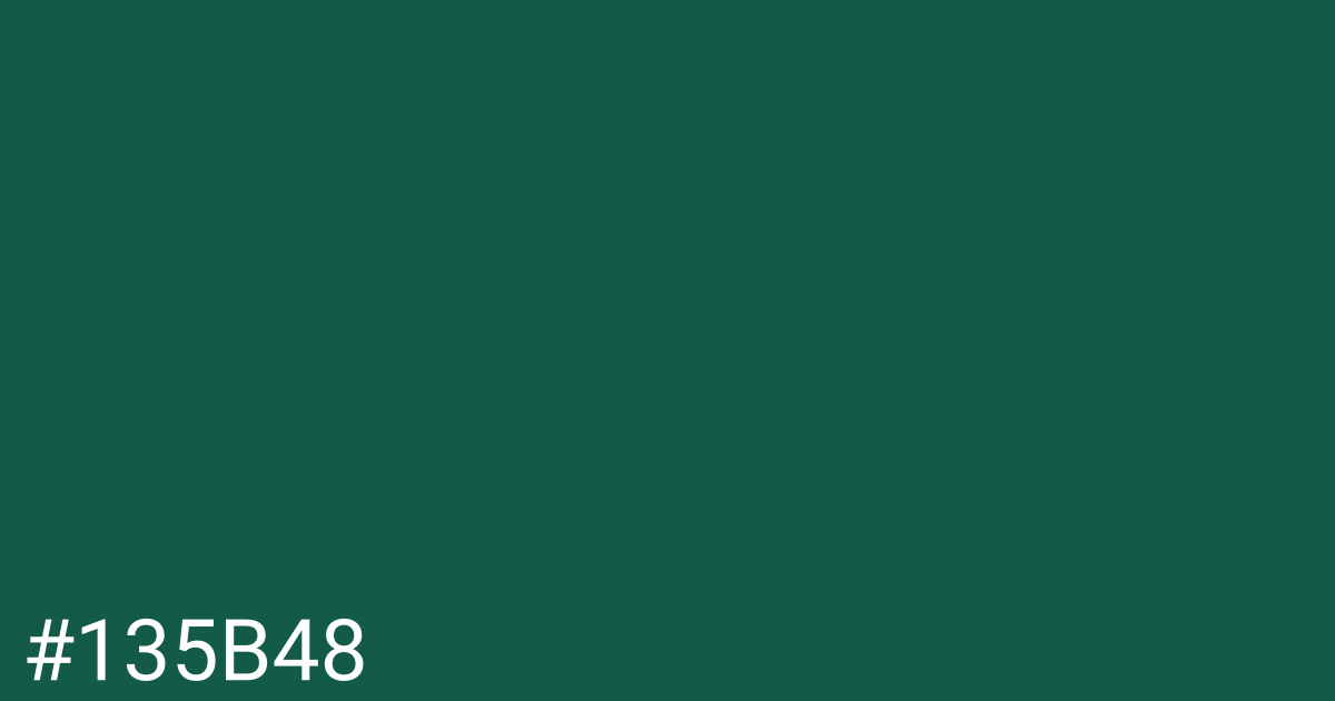 Hex color #135b48 graphic