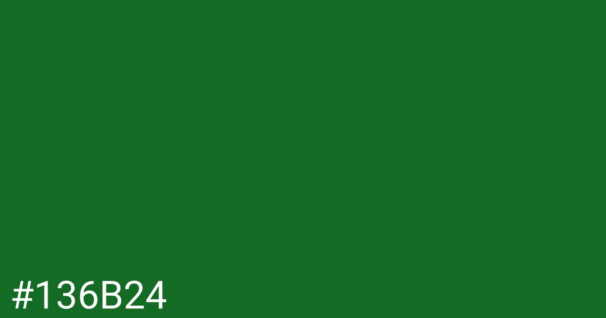 Hex color #136b24 graphic