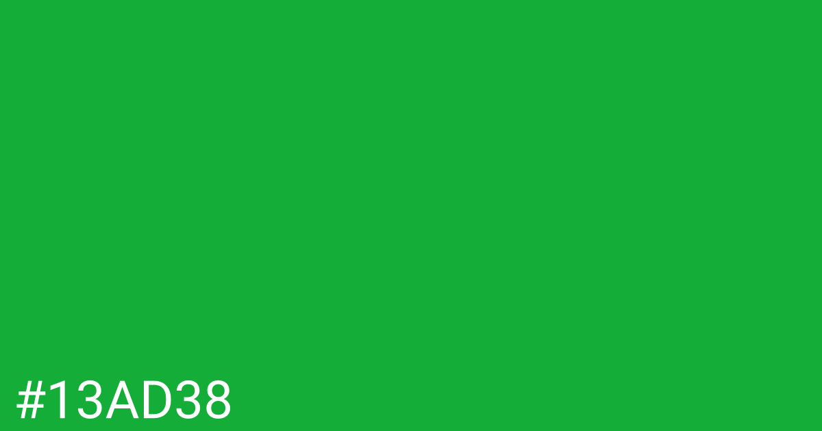 Hex color #13ad38 graphic