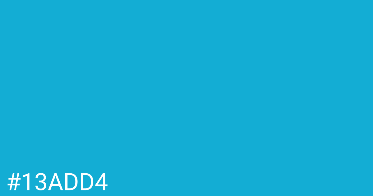 Hex color #13add4 graphic