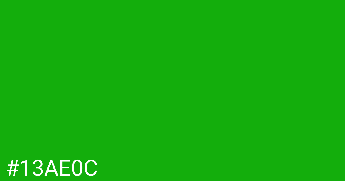 Hex color #13ae0c graphic