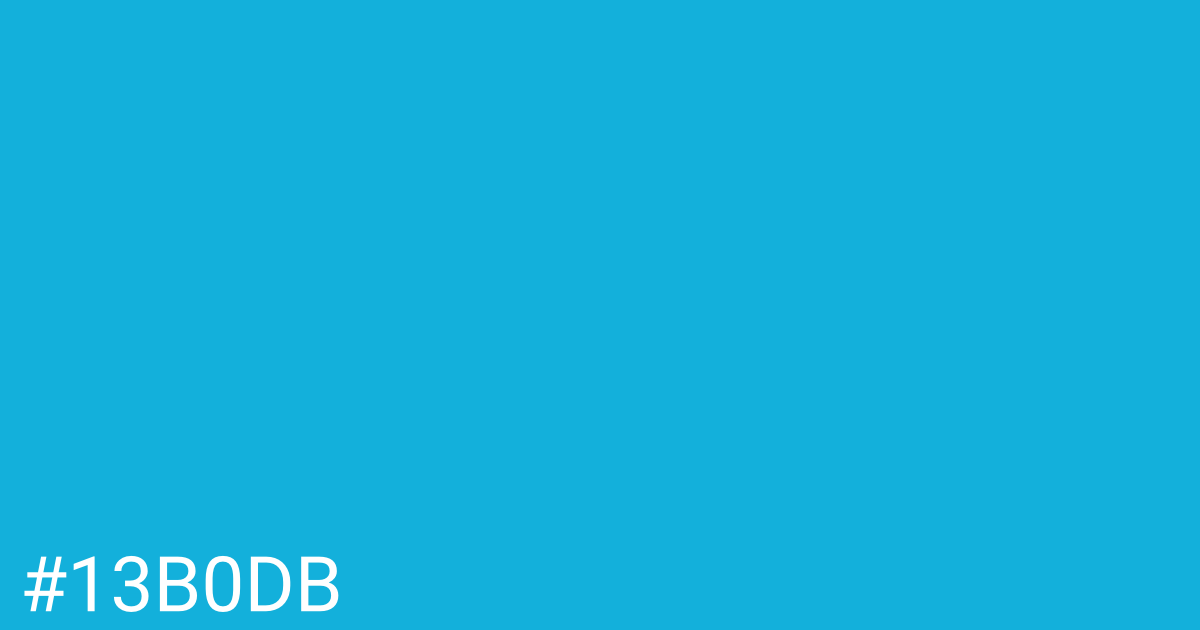 Hex color #13b0db graphic