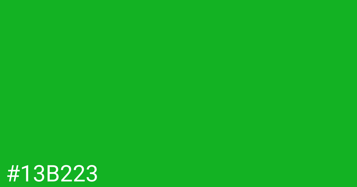 Hex color #13b223 graphic