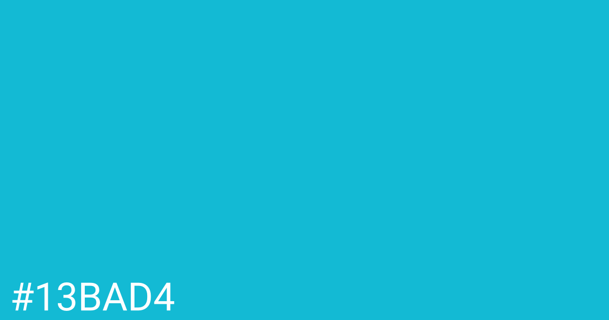 Hex color #13bad4 graphic
