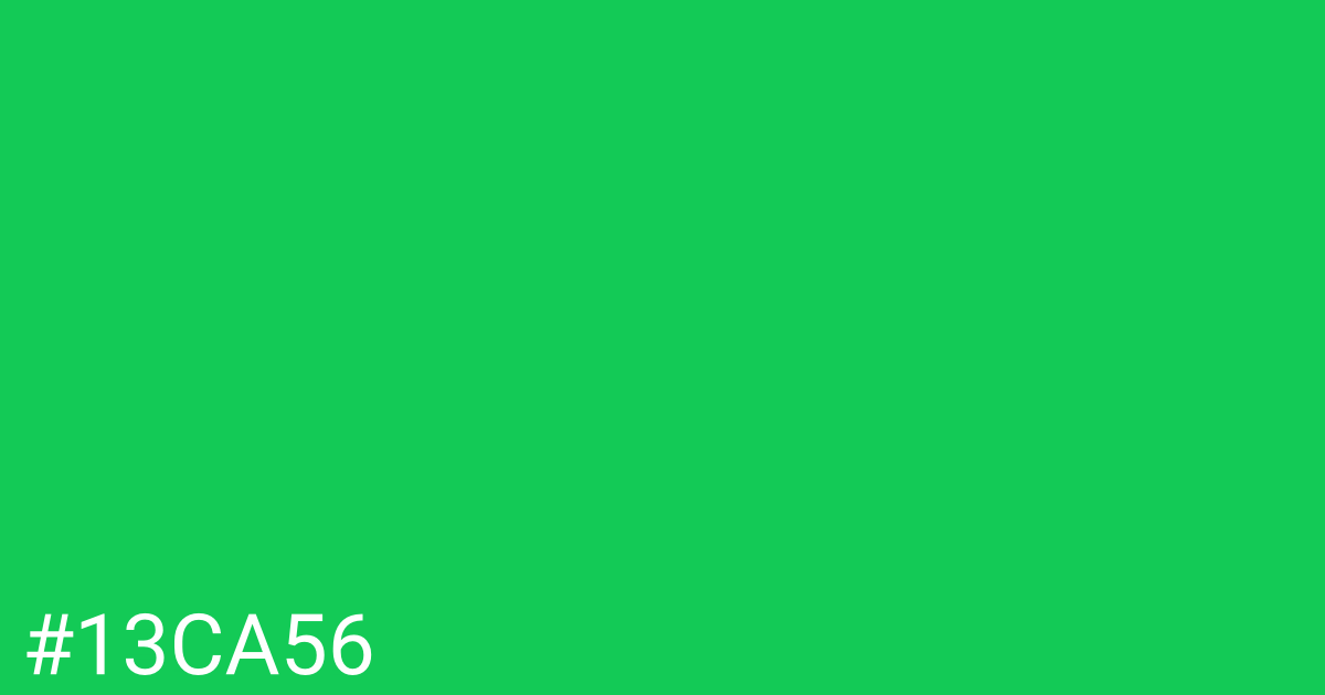 Hex color #13ca56 graphic