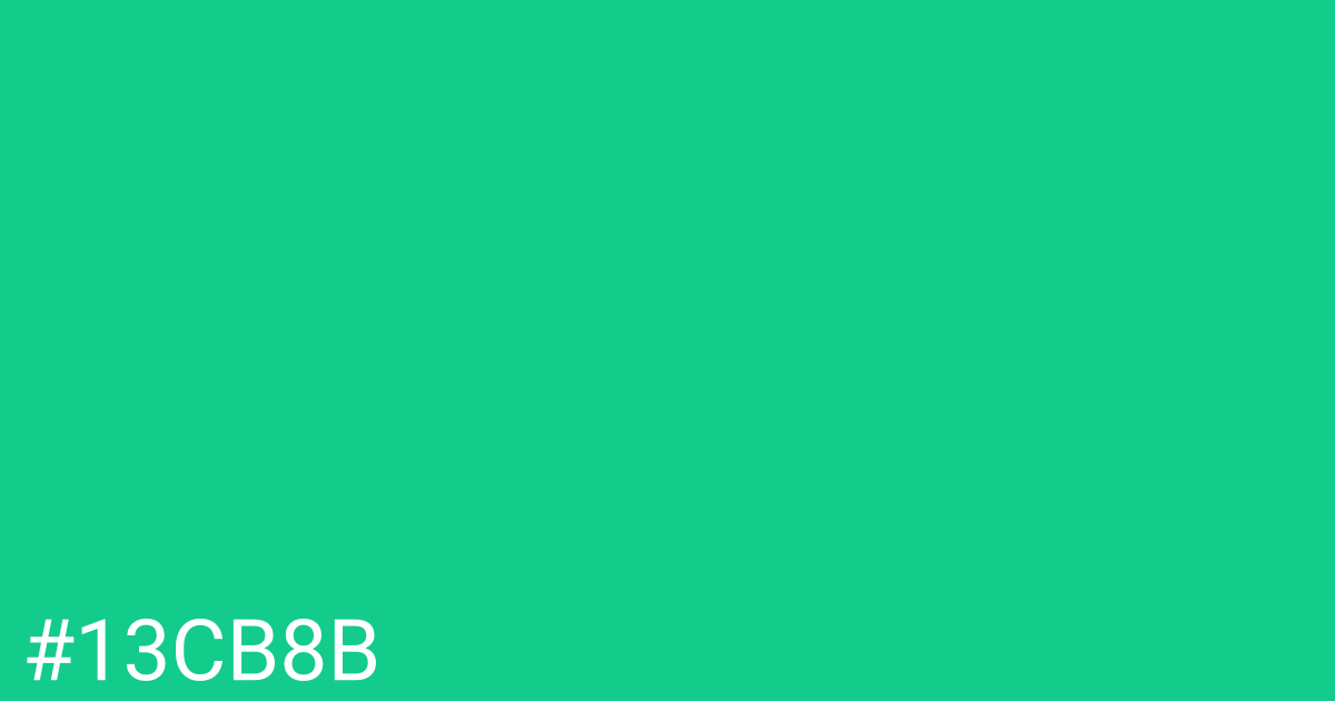 Hex color #13cb8b graphic