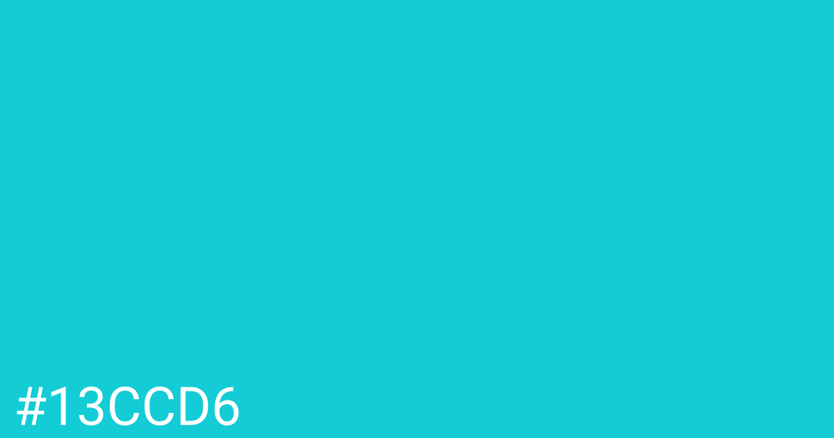 Hex color #13ccd6 graphic