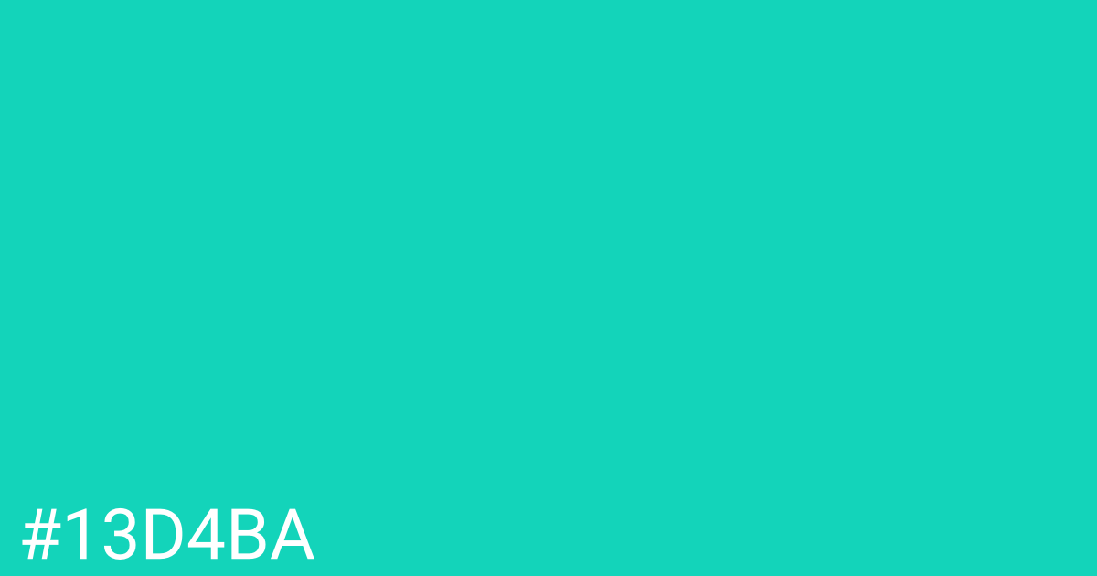 Hex color #13d4ba graphic