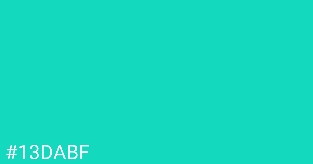 Hex color #13dabf graphic