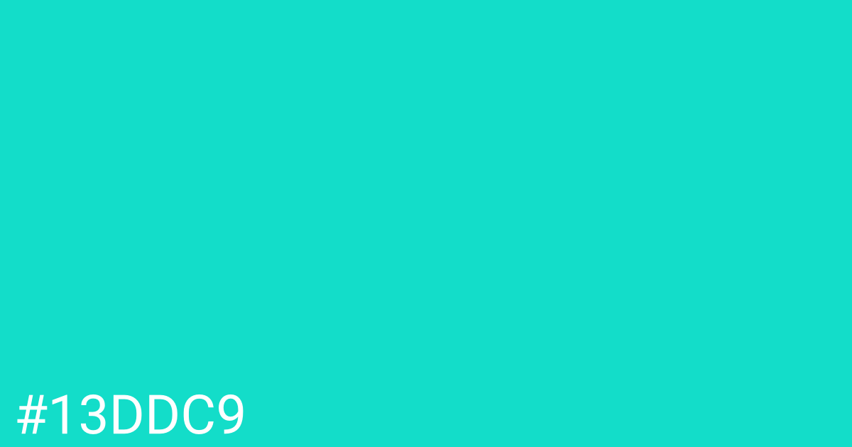 Hex color #13ddc9 graphic
