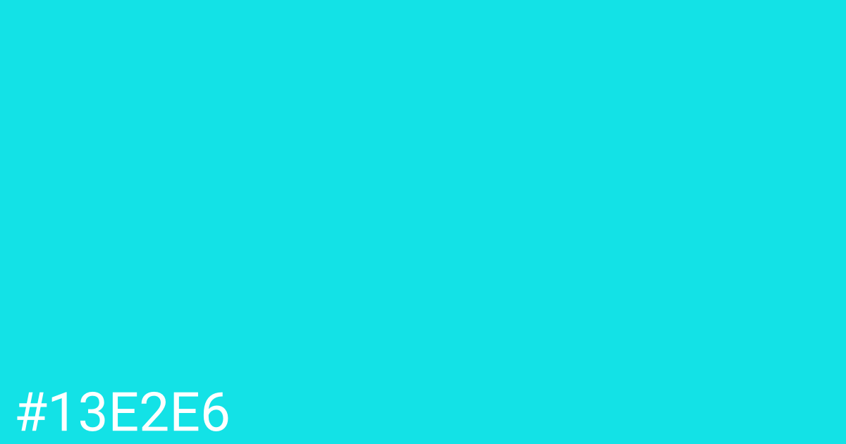 Hex color #13e2e6 graphic