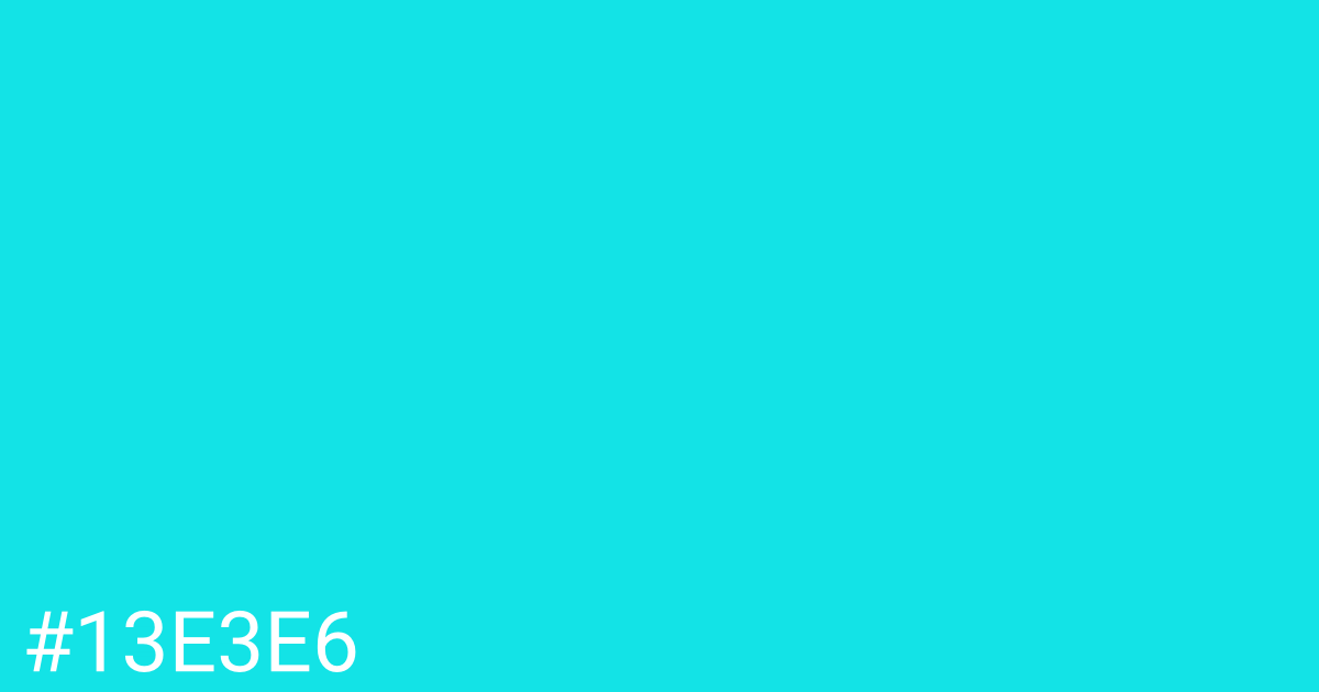 Hex color #13e3e6 graphic