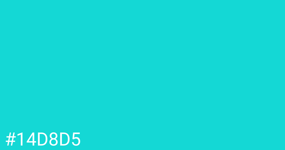 Hex color #14d8d5 graphic