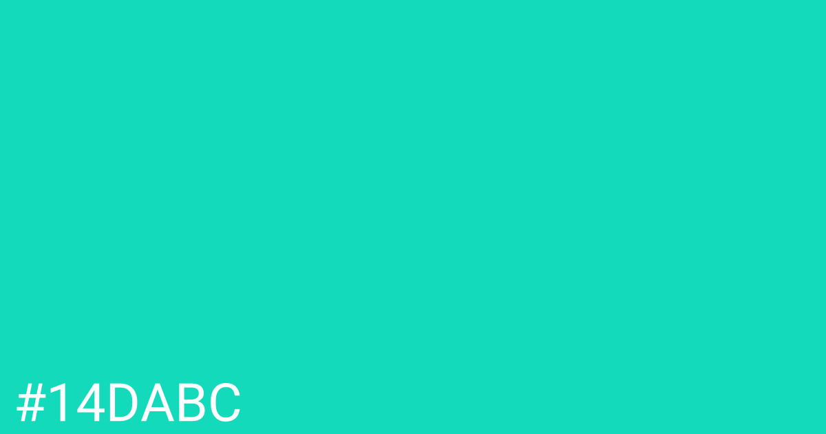 Hex color #14dabc graphic