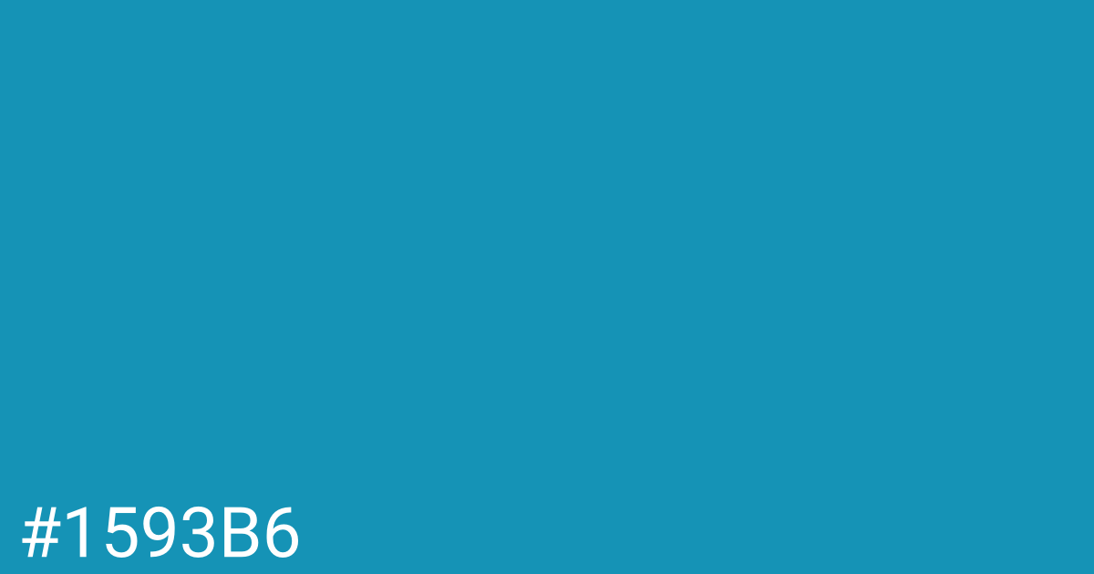 Hex color #1593b6 graphic