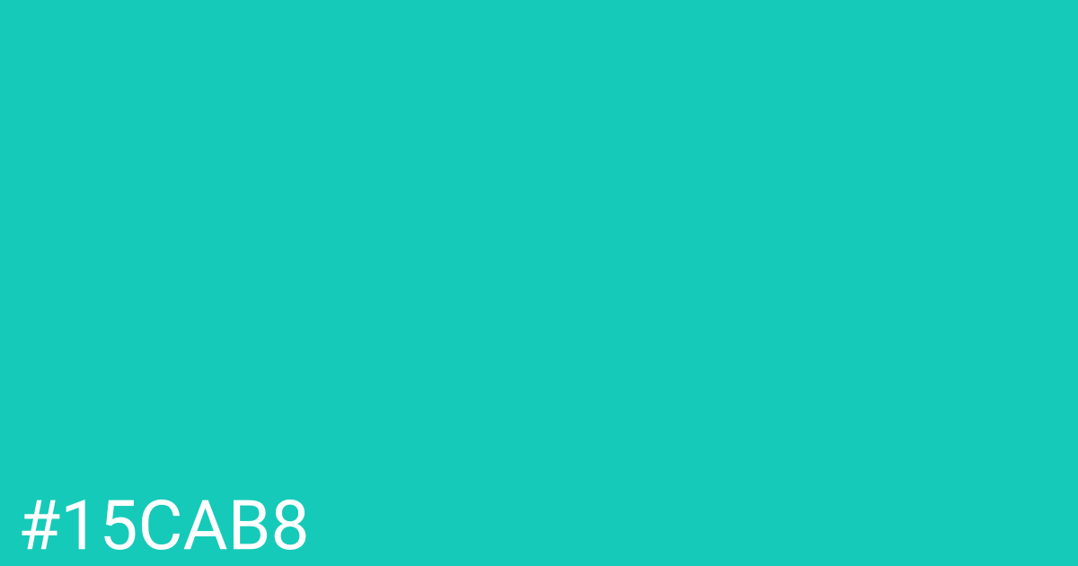Hex color #15cab8 graphic