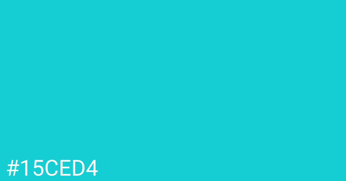 Hex color #15ced4 graphic
