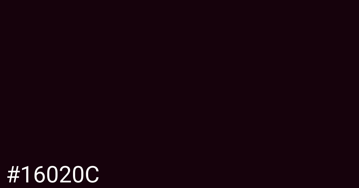 Hex color #16020c graphic