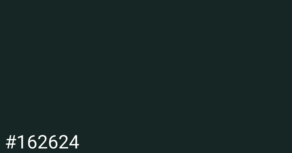 Hex color #162624 graphic