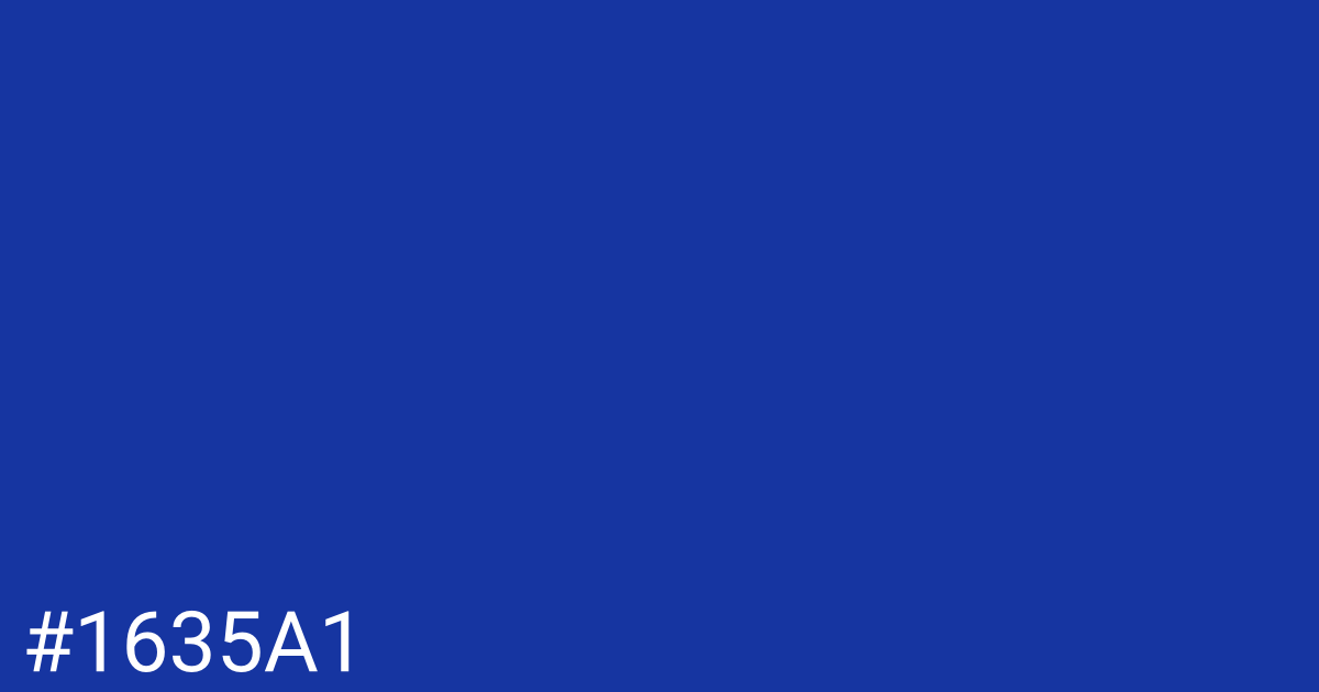 Hex color #1635a1 graphic