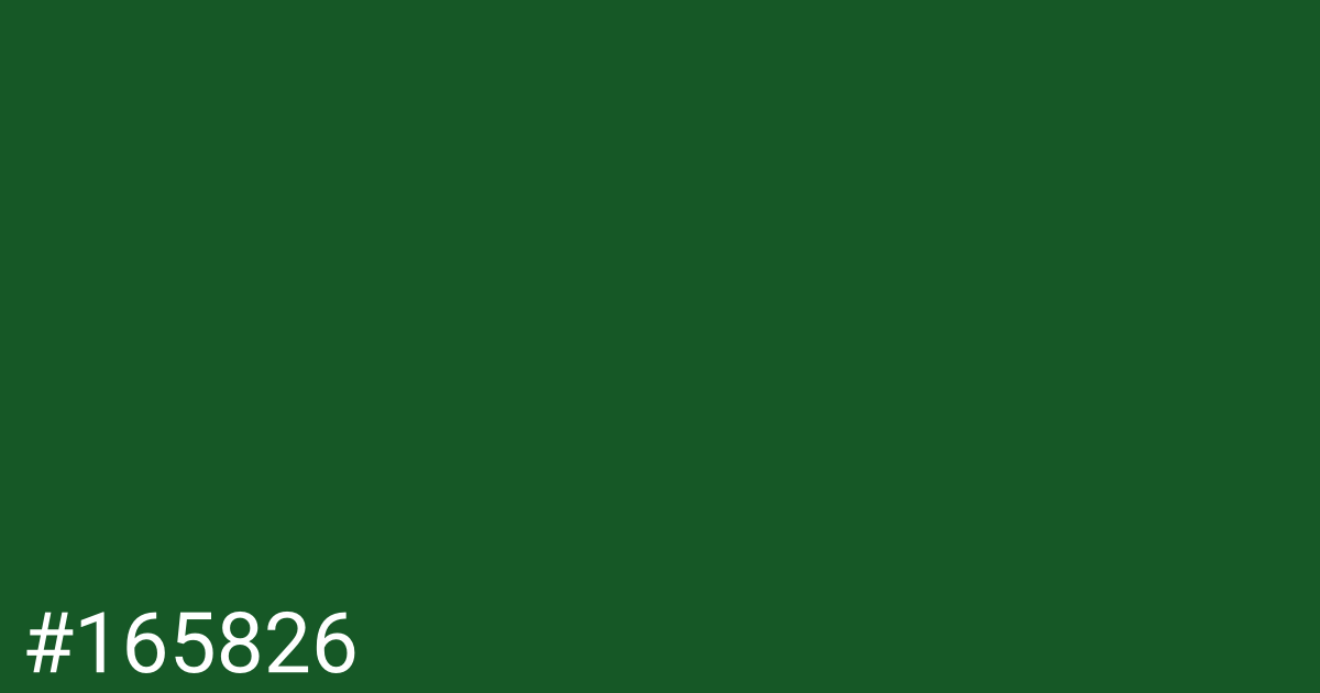 Hex color #165826 graphic