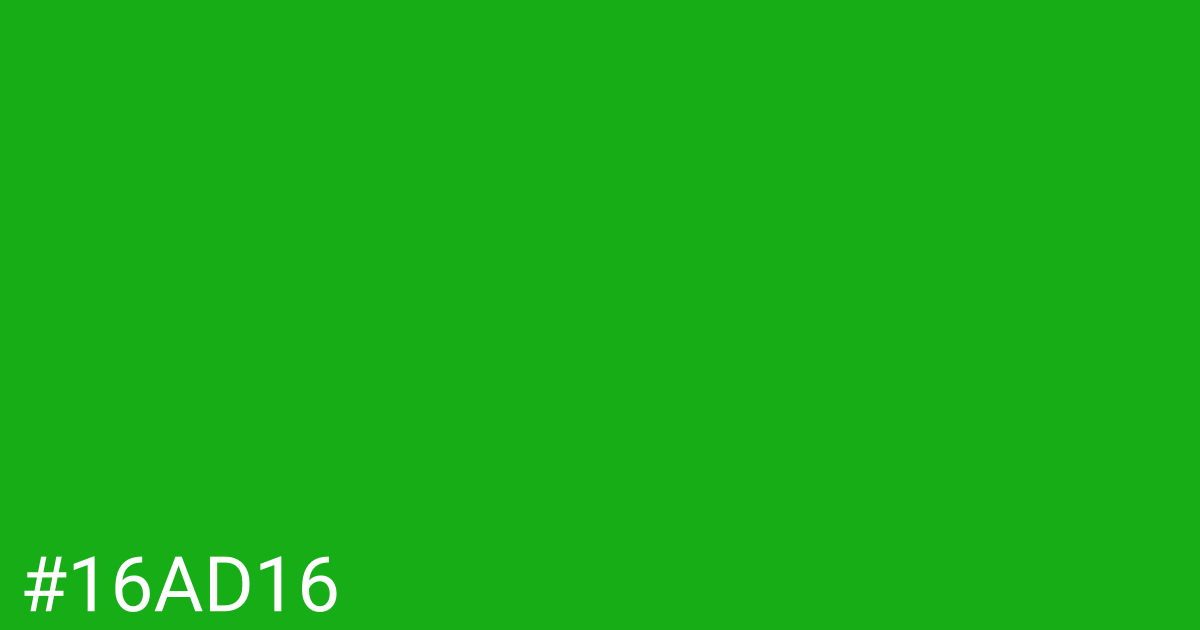 Hex color #16ad16 graphic
