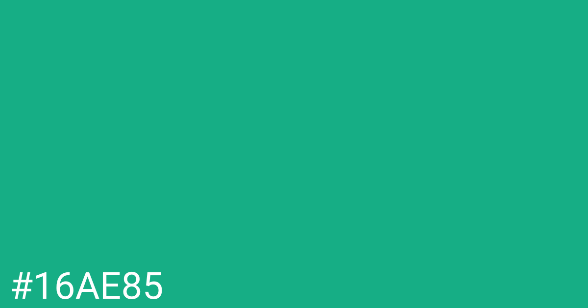 Hex color #16ae85 graphic