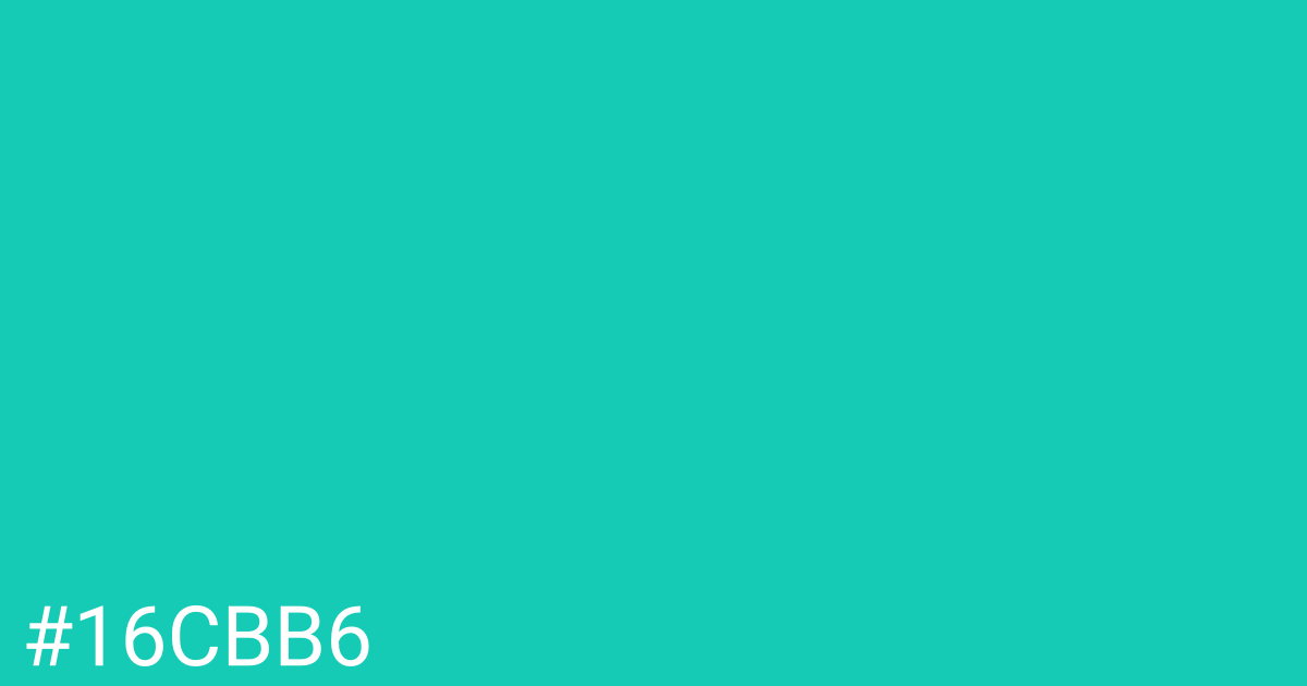 Hex color #16cbb6 graphic