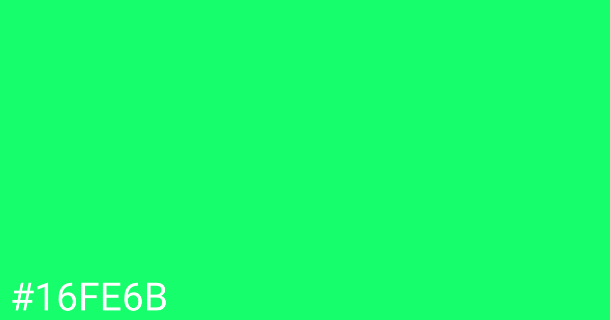 Hex color #16fe6b graphic