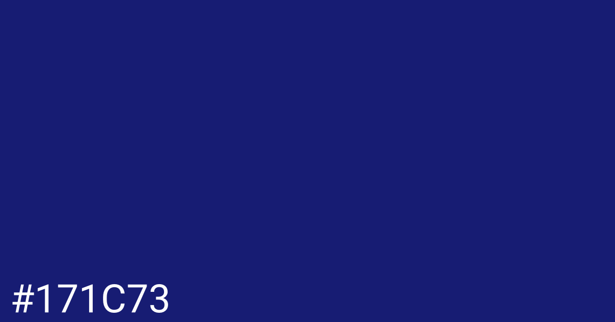 Hex color #171c73 graphic
