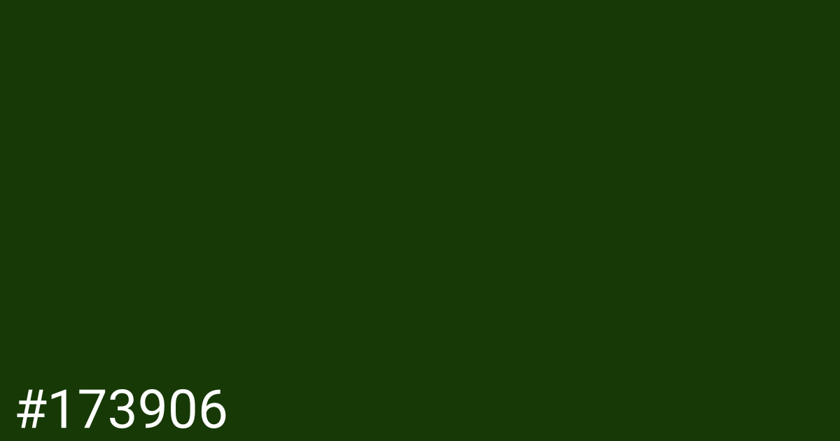 Hex color #173906 graphic
