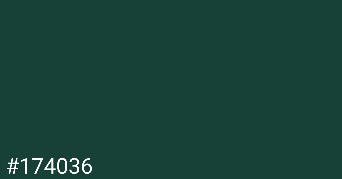 Hex color #174036 graphic