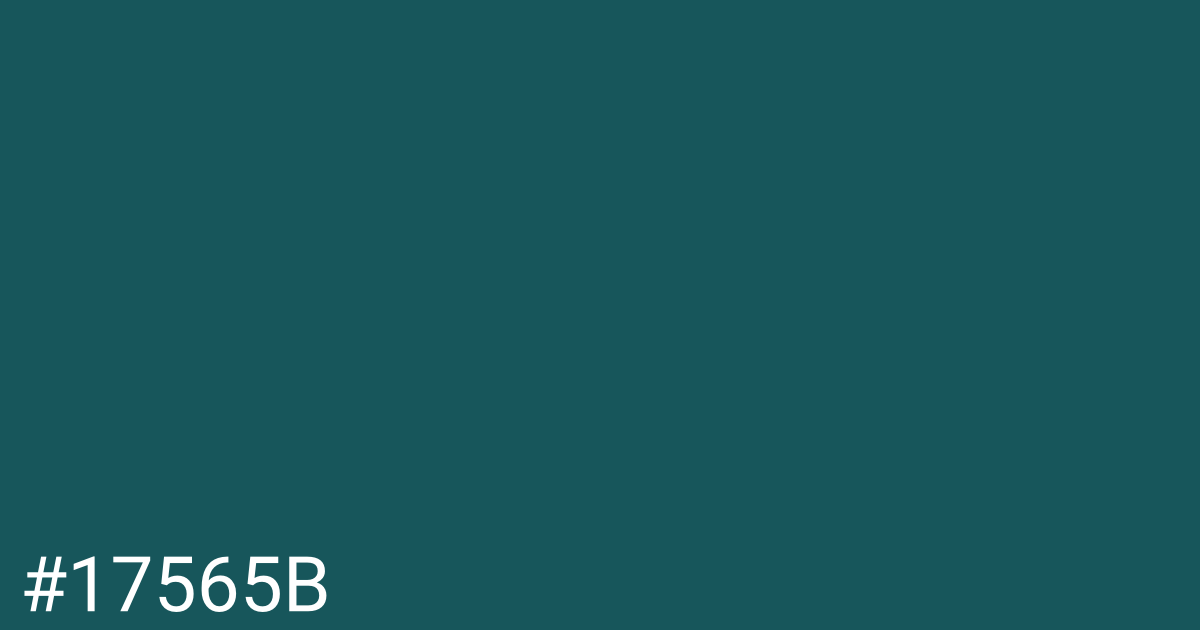 Hex color #17565b graphic