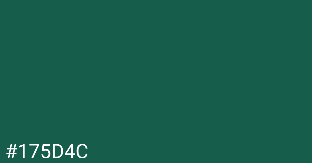 Hex color #175d4c graphic