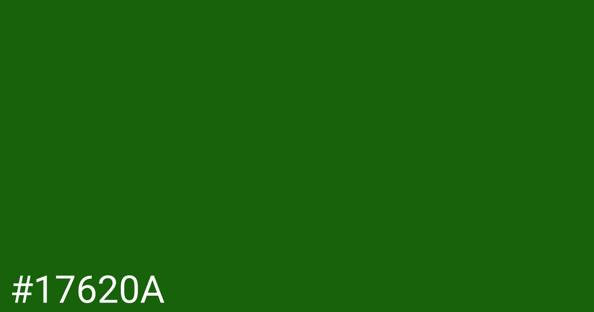 Hex color #17620a graphic