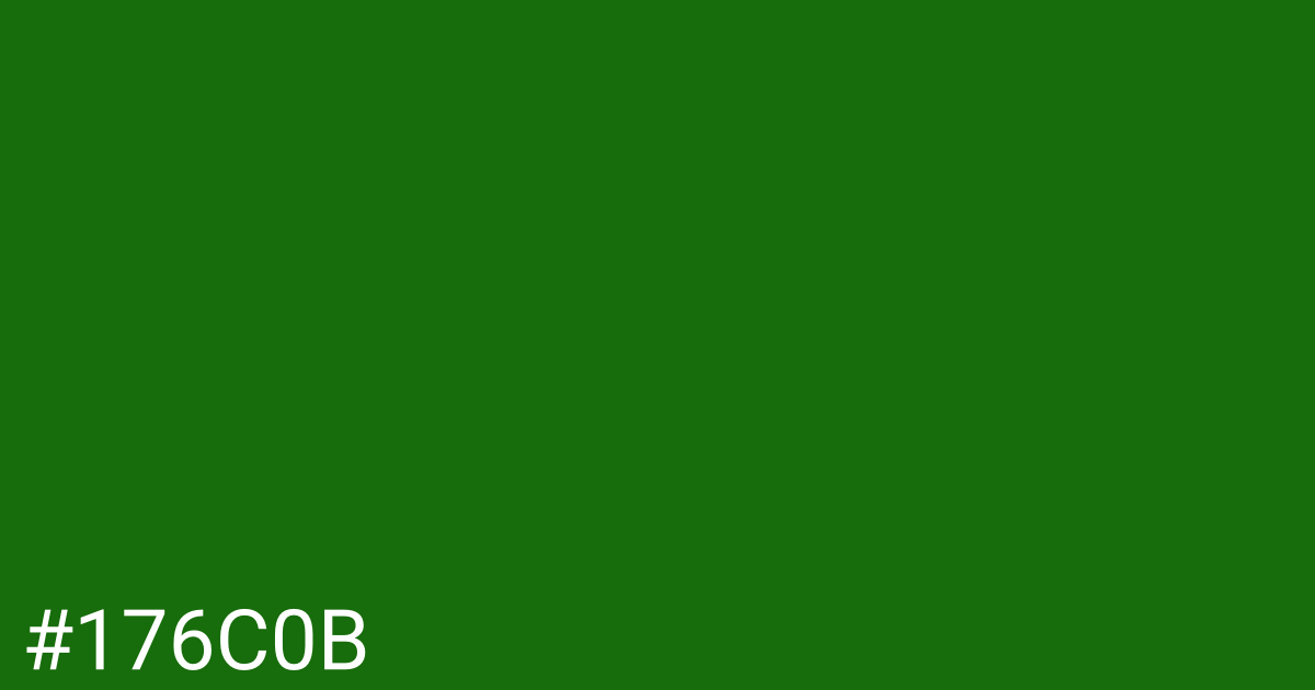 Hex color #176c0b graphic