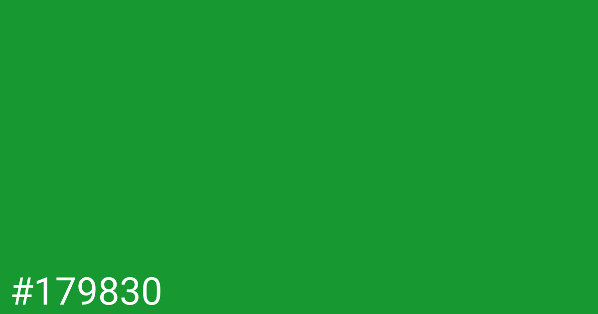 Hex color #179830 graphic