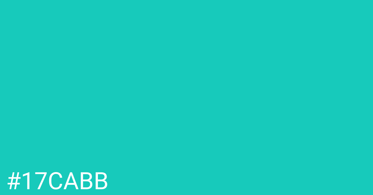 Hex color #17cabb graphic