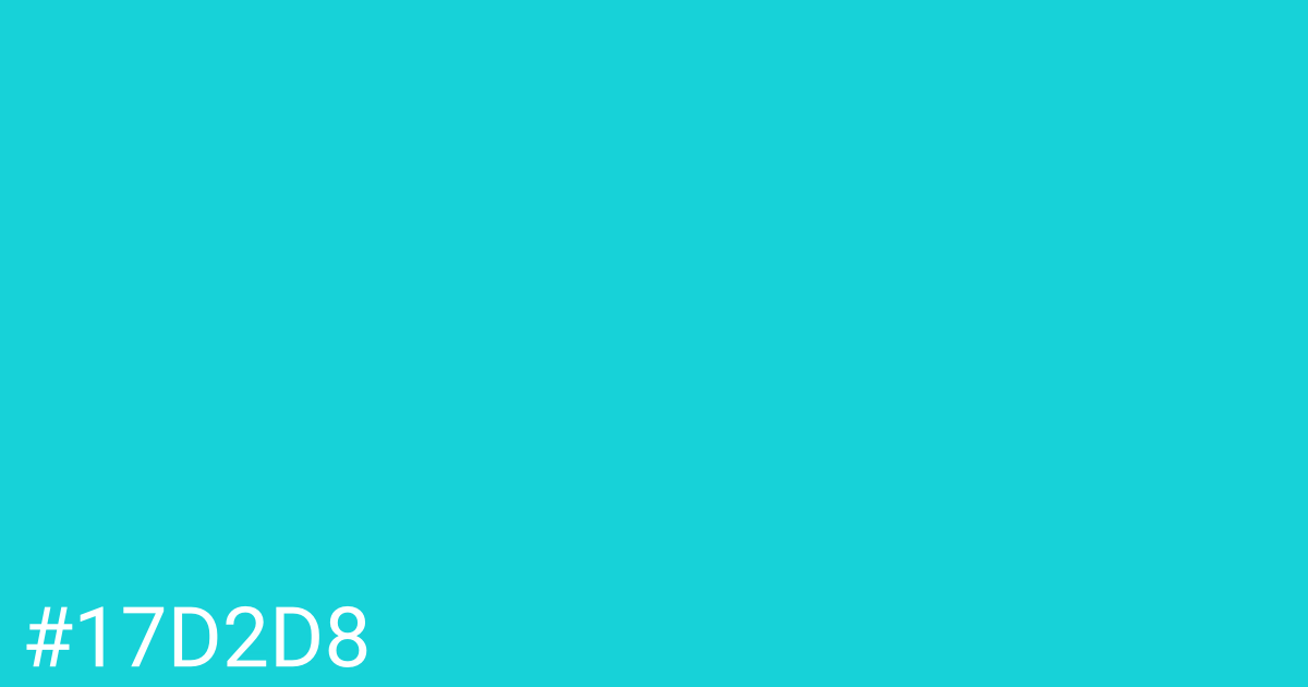 Hex color #17d2d8 graphic